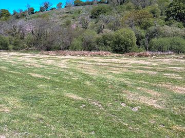 Camping field