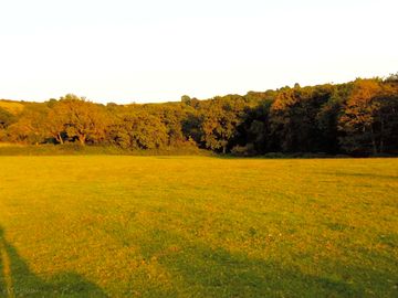 Flat pitches