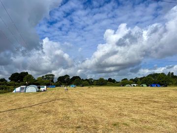 Main field at isfield