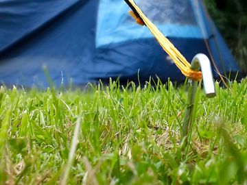 Grass pitches