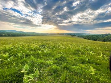 Evening sky at Rusty Meadow