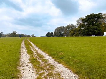 The site