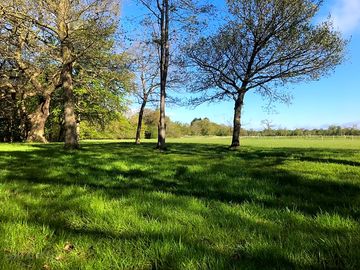 Camping field