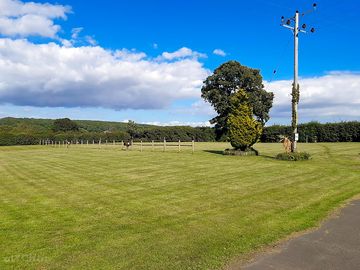 Views across the site