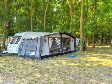 Camping area under the trees