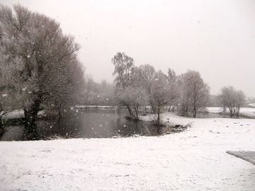 The site under snow