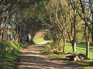 The site's leafy lane, scenic in all seasons