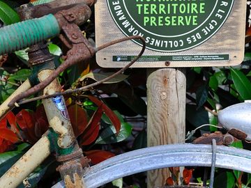 Nature camping rouvre