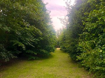 Hazel path to the hedgehog pitches