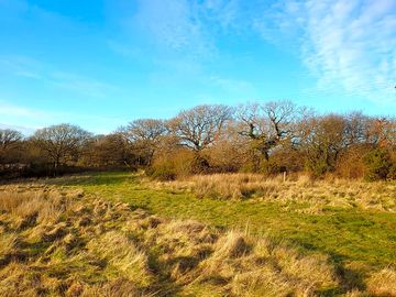 20 acres of nature to explore