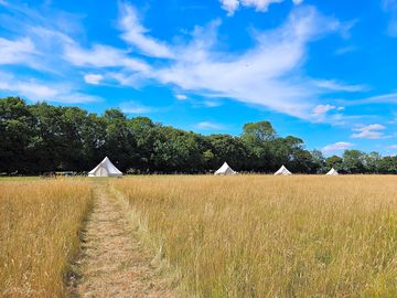 View of tents across the meadow