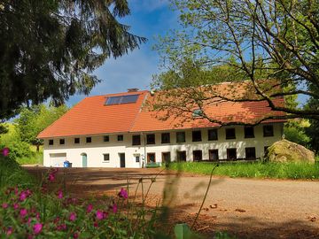 Main building