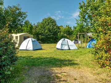 Pitches between the trees