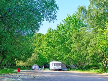 Camper at Holmsley
