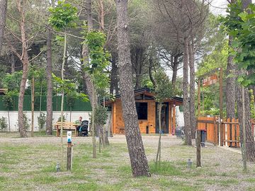 View of the site