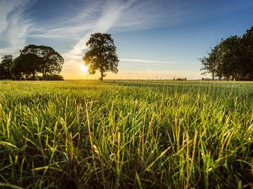 Dog-friendly camping in Oxfordshire