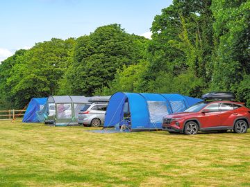 Large electric grass tent pitch