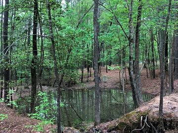Small pond