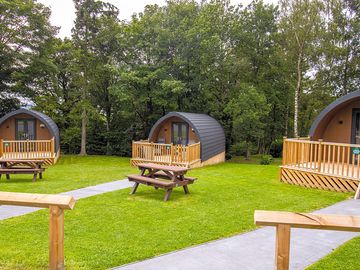 Glamping pods
