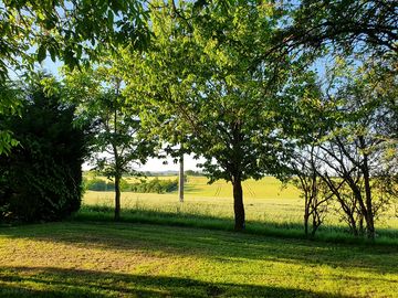 Partially shaded grass pitches