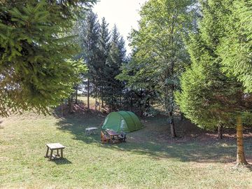 View of the site