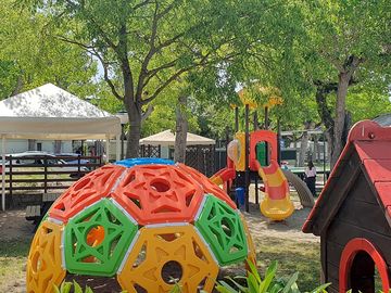 Play area