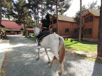 Horseback riding