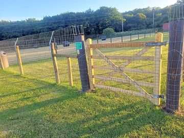 Dog pen area