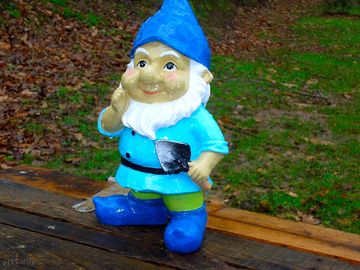 The site mascot