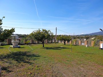 General site view