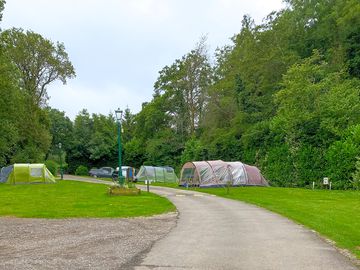 Visitor image of the tent pitches