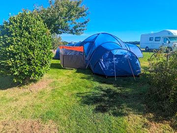 Grass tent pitch