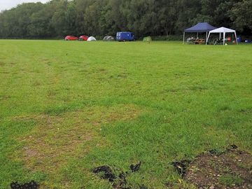 Grassy pitches near the woodland
