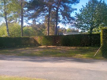Grassy pitches