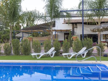Sun loungers by the pool
