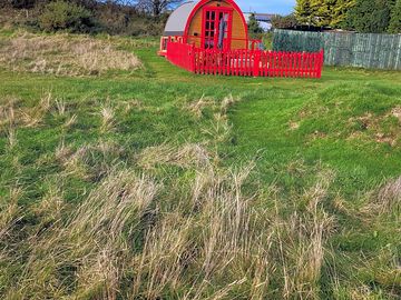 Red pod