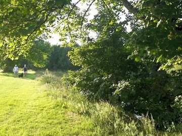 Riverside walks from the site