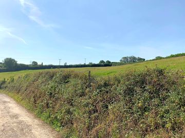 View of the neighbours' field over the hedge