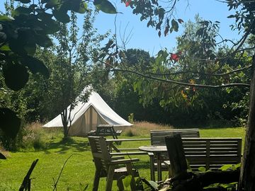 Bell tent in the meadow