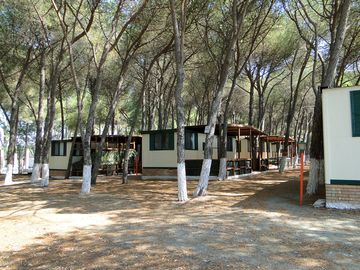 View of the static caravans