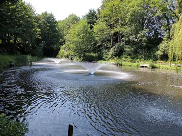 Water fountains on willow lake