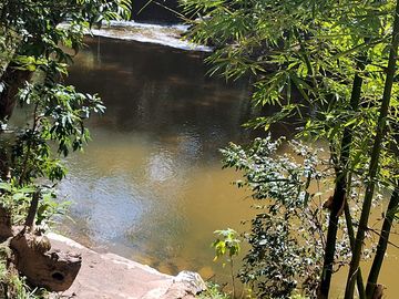 The river