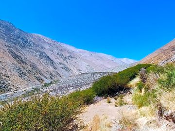 Around the site
