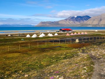 From 2021 Longyearbyen Camping operates with an electric fence around the site.