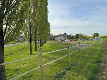 Pitches on grass