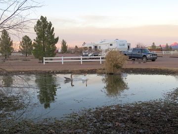View of the pitches near the pond