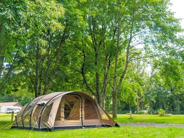 Pitches among the trees