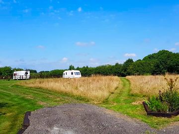 Meadow views