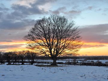 A wintery day on site
