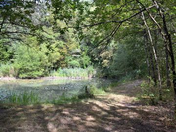 Beautiful natural surroundings
